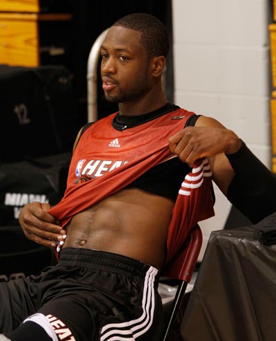 系统生态 系统生态